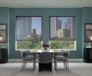 Shade in Style: The Elegance and Functionality of Sunscreen Roller Blinds