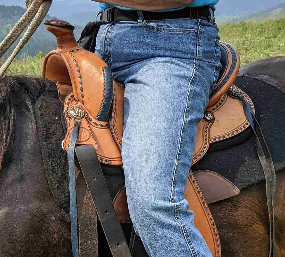 Best Womens Horse Saddle