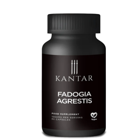 Fadogia Agrestis Supplement