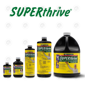 Boost Growth with Superthrive Nutrients | Benchmark Bioponics